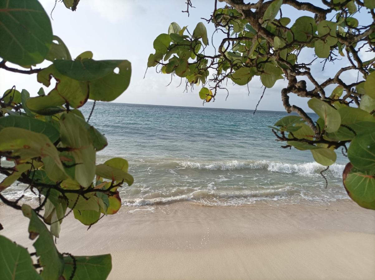 Kaz'Detente, Marie Galante, Plage Kawann Grand-Bourg  Extérieur photo